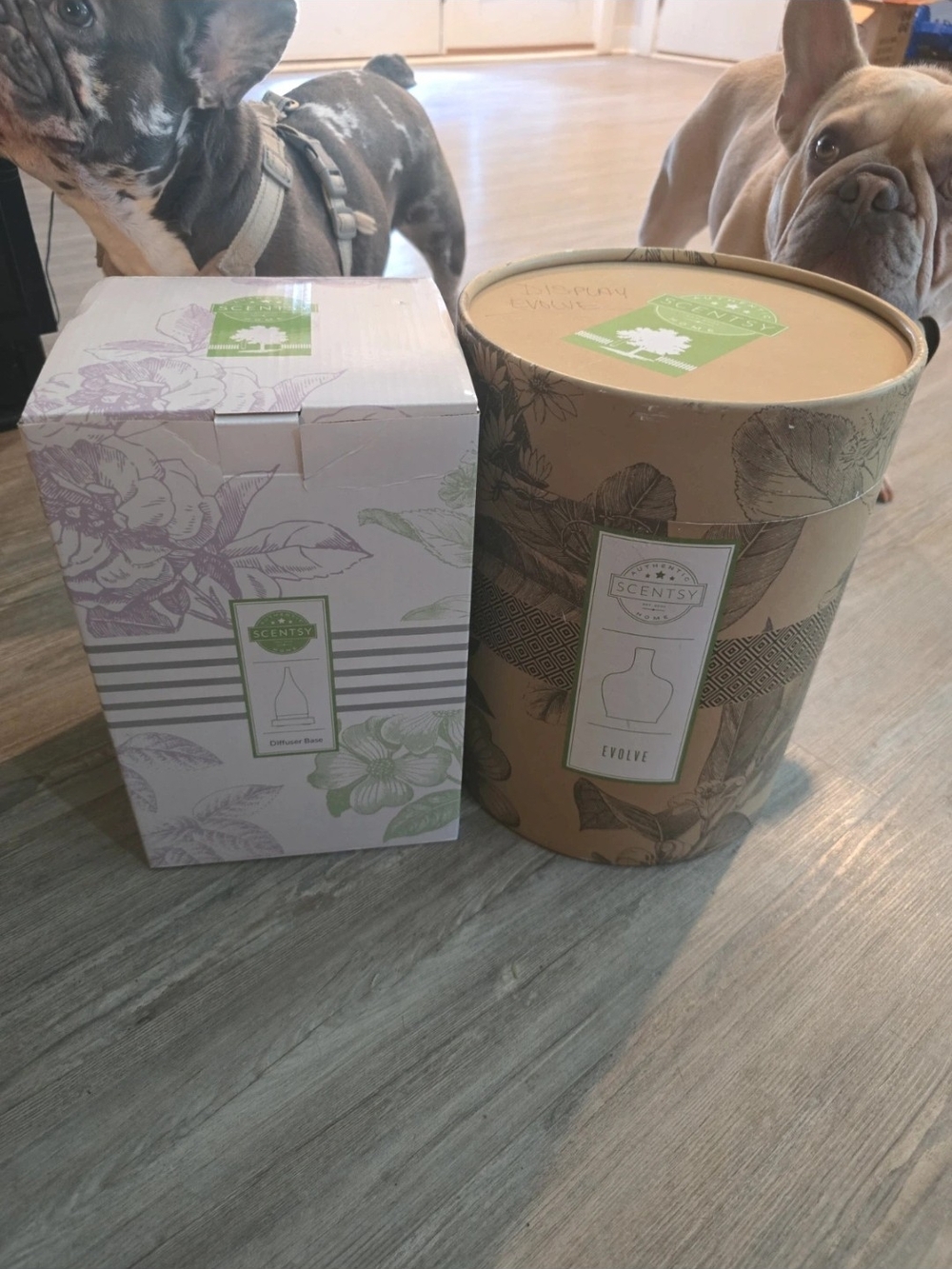 Scentsy Evolve Shade And Diffuser